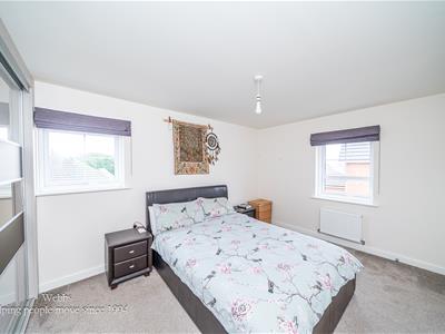 Picture 20